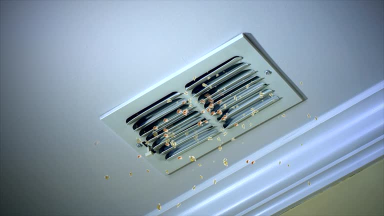 Best Residential Air Duct Cleaning  in Saukville, WI