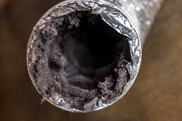Best Affordable HVAC Duct Cleaning  in Saukville, WI