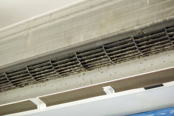 Best Local Air Duct Cleaning Services  in Saukville, WI